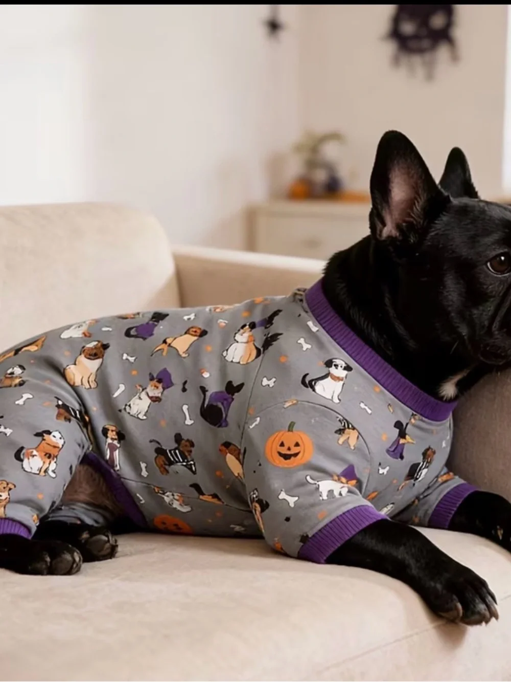 BN sz M dog pajama/costume Halloween Gray and Purple Pumpkin